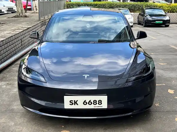 Tesla Model 3 2025