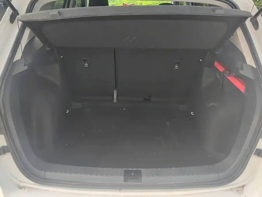 Volkswagen Tuyue 2020