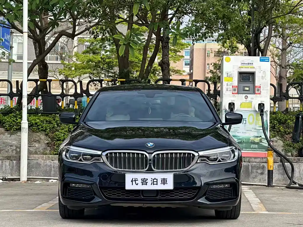 BMW 5 Series 2019