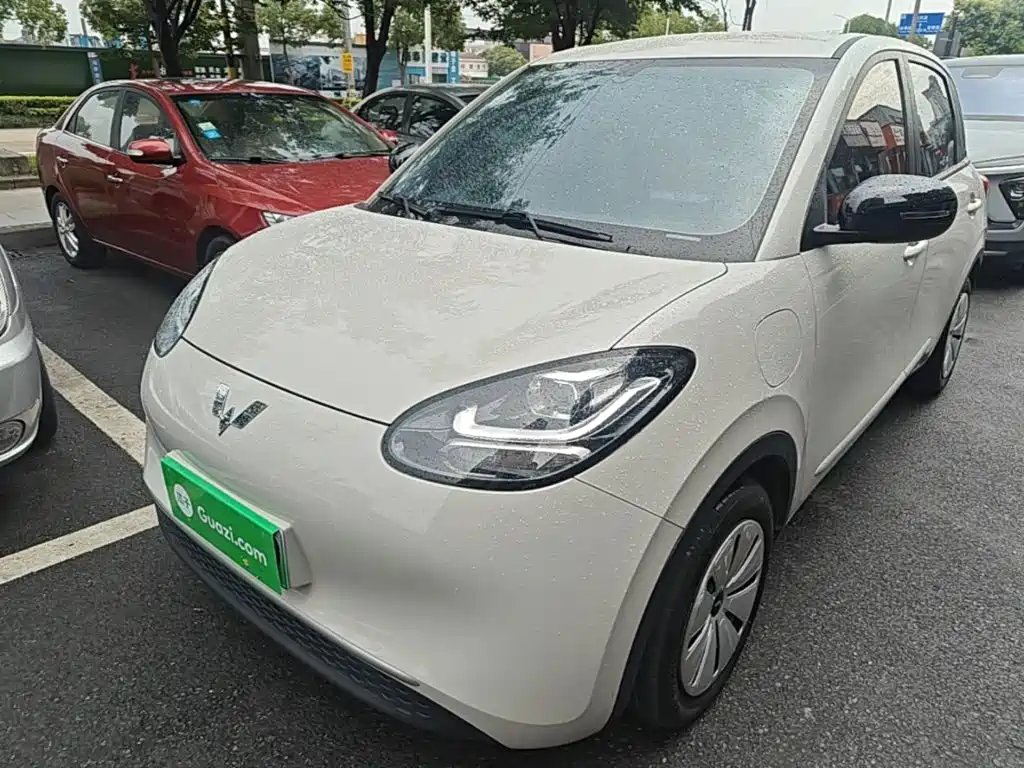 Wuling Bingo 2024