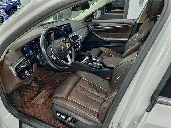 BMW 5 Series New Energy 2020