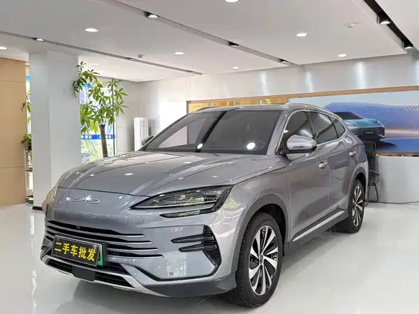 BYD Song PLUS New Energy 2024