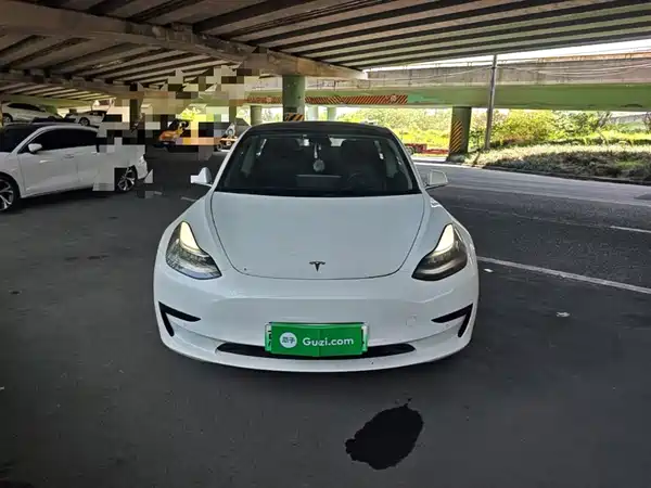 Tesla Model 3 2019