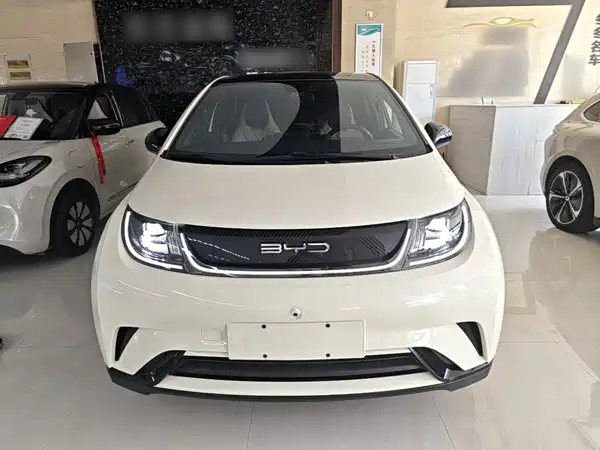 BYD Dolphin 2021