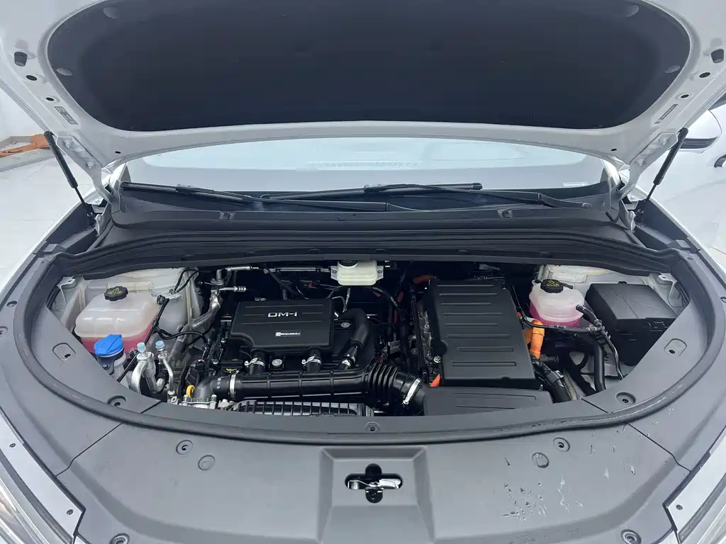 BYD Song L DM-i 2025 — фото 21