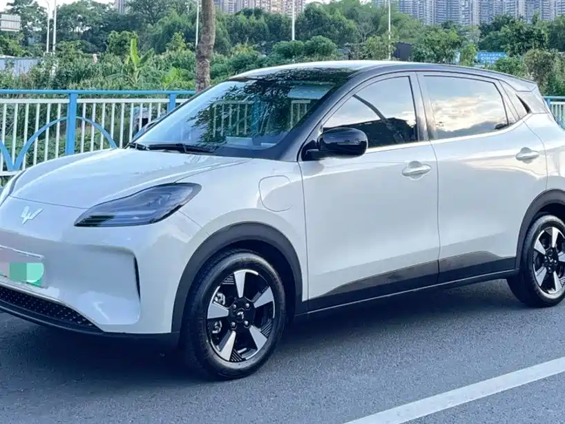 Wuling Bingo PLUS 2024