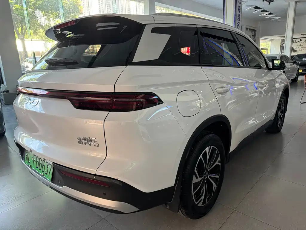 BYD Pro New Energy 2024 — фото 4