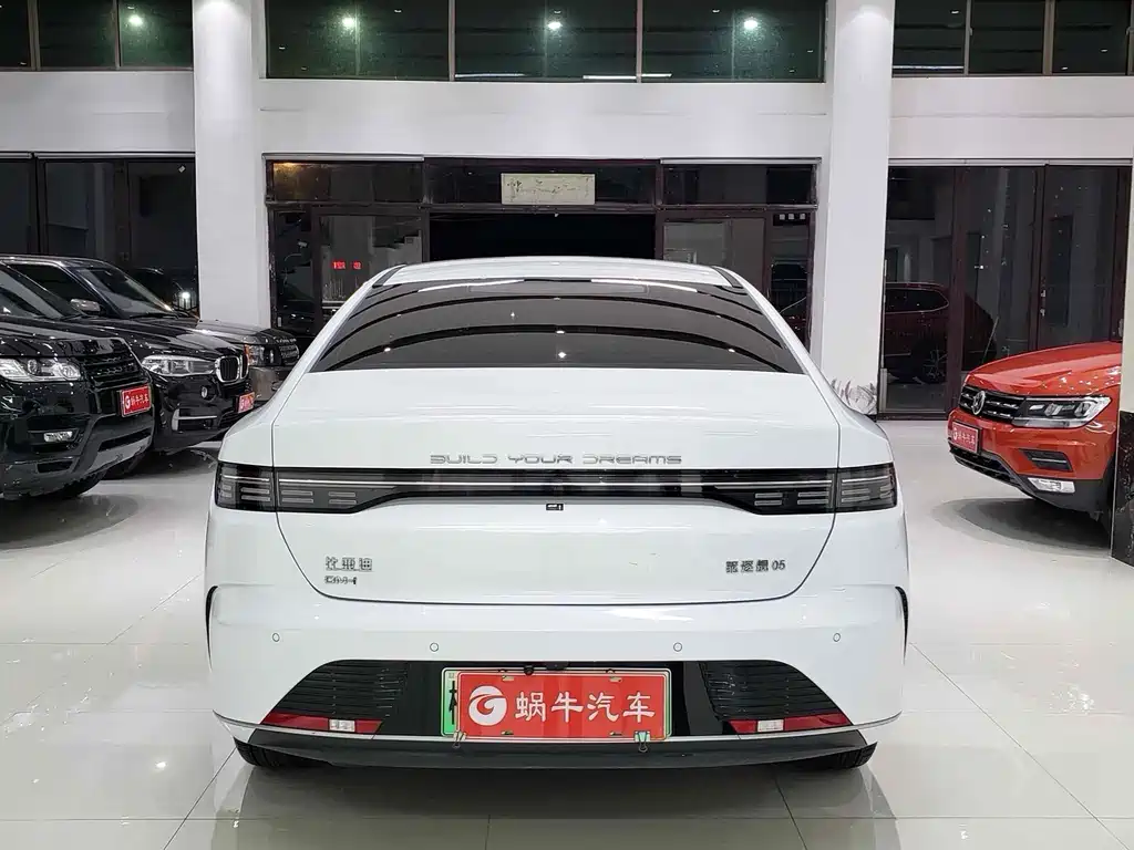 BYD Destroyer 05 2024 — фото 12
