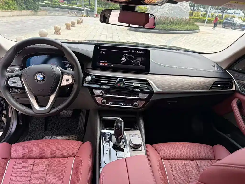 BMW 5 Series 2022