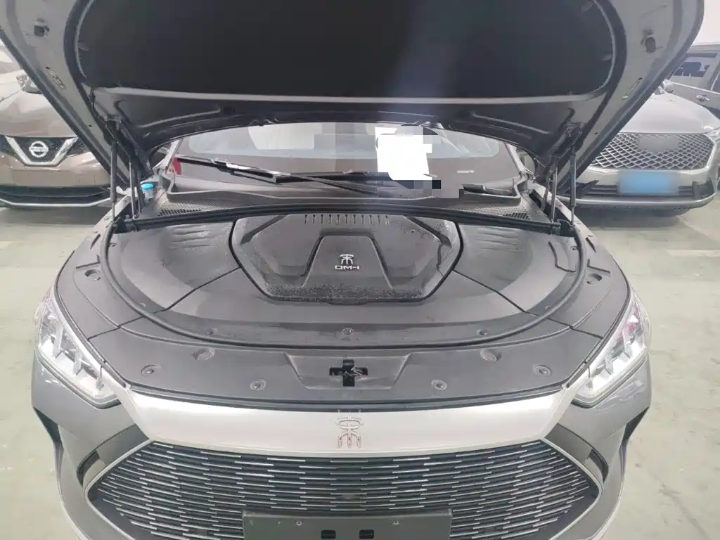 BYD Song PLUS New Energy 2022 — фото 16