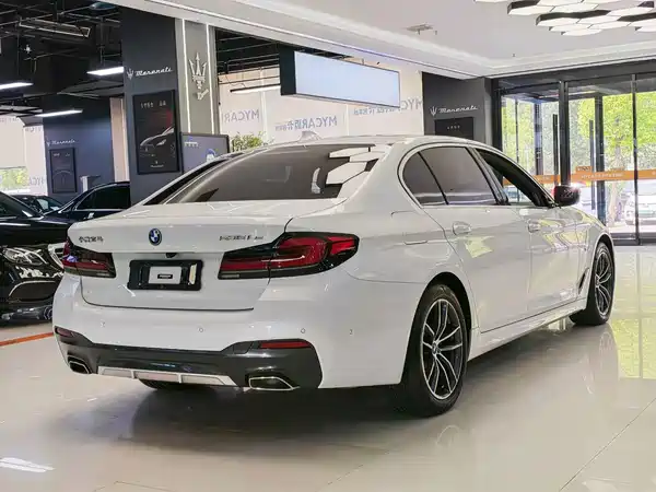 BMW 5 Series New Energy 2022