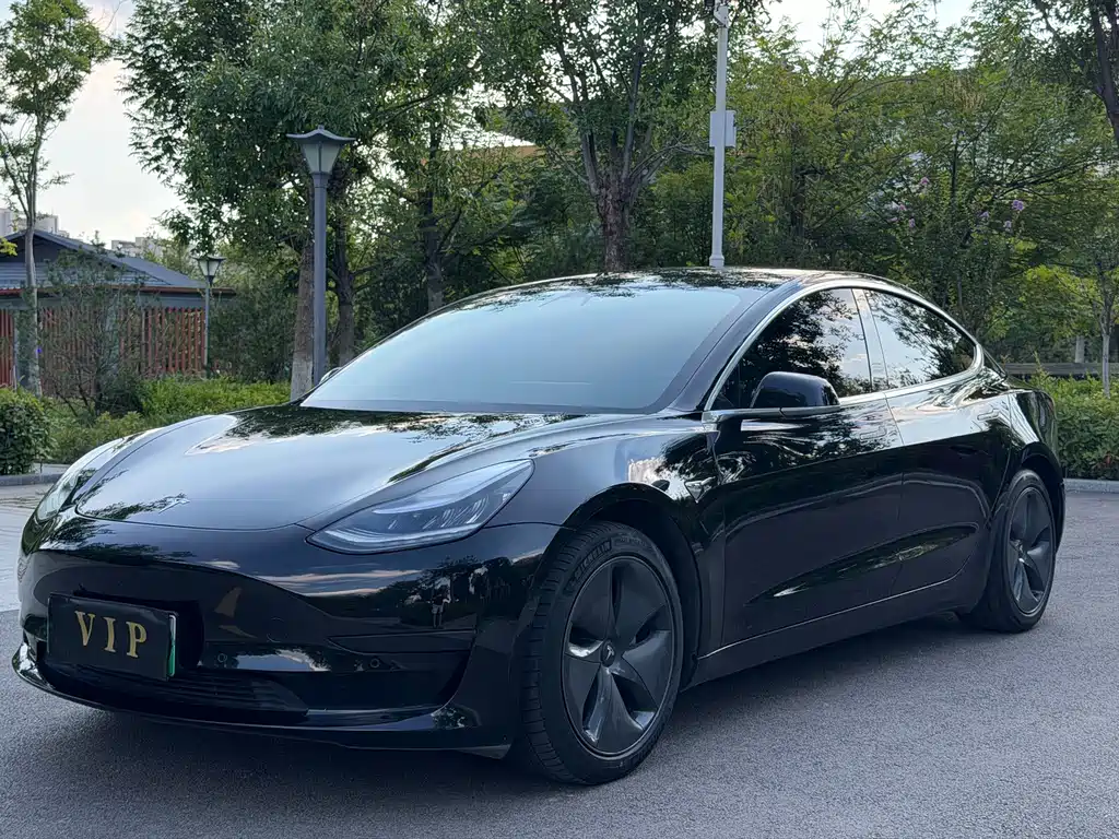 Tesla Model 3 2020 — фото 2