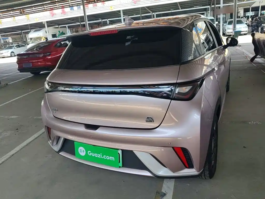 BYD Dolphin 2022