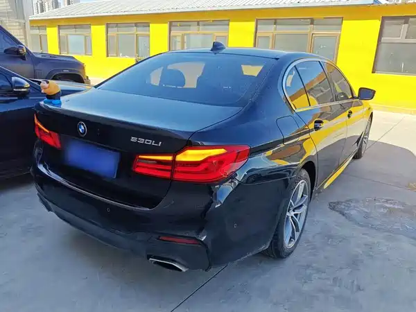 BMW 5 Series 2019