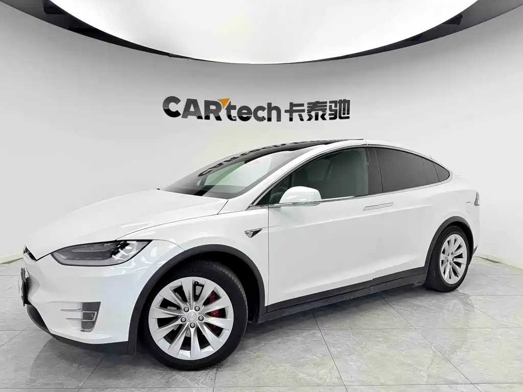 Tesla Model X 2019