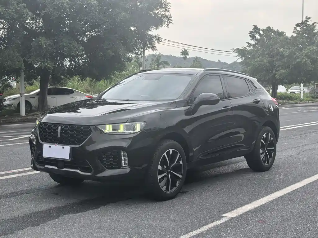 Wey VV5 2019