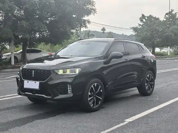 Wey VV5 2019