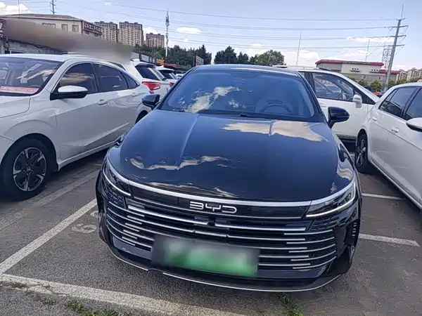 BYD Destroyer 05 2024