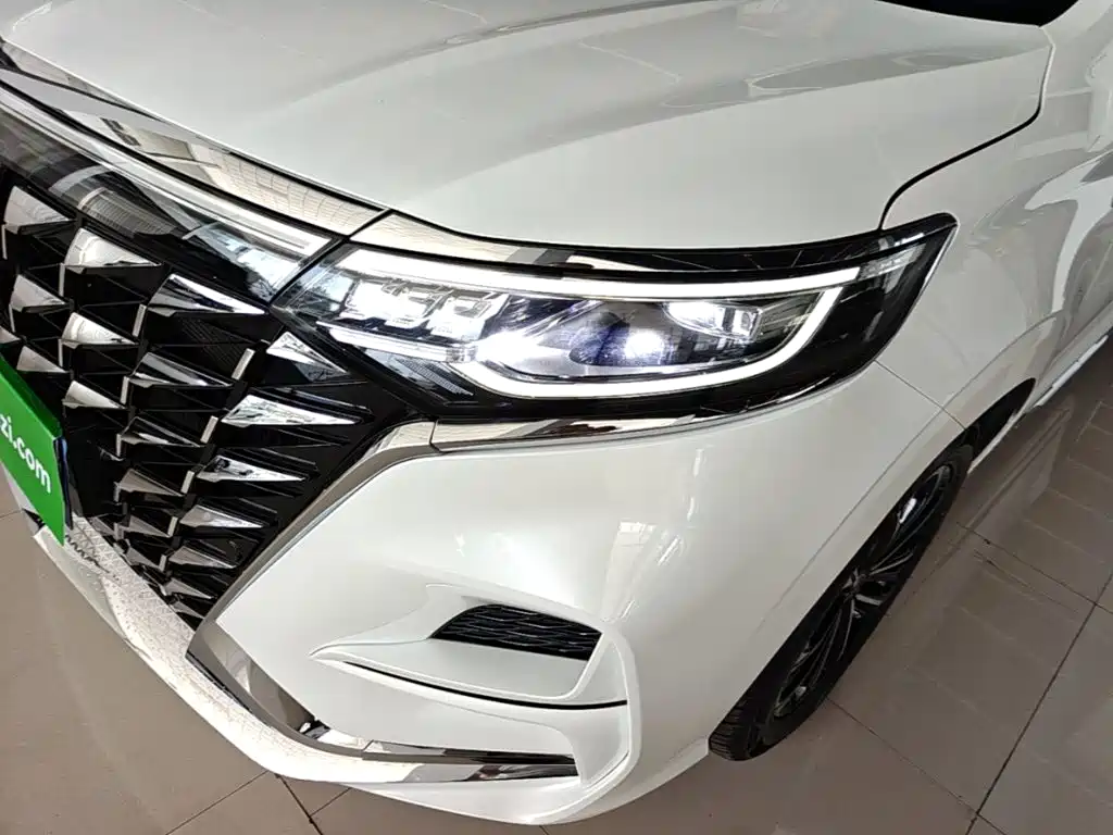 Roewe iMAX8 2024 — фото 24