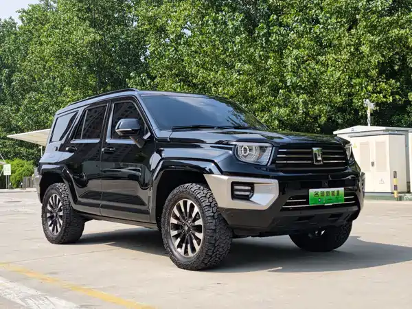 Tank 700 New Energy 2024