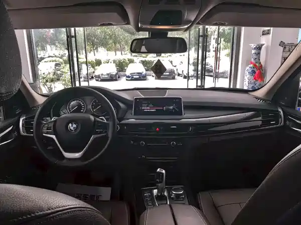 BMW X5 New Energy 2020
