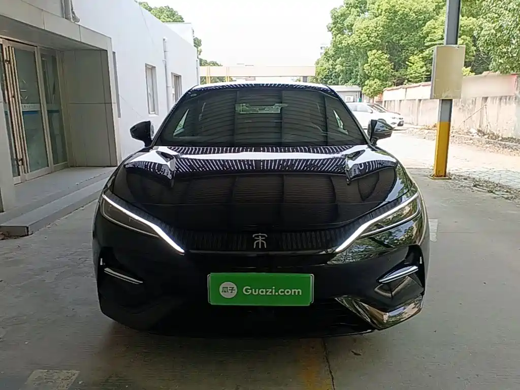 BYD L EV 2025