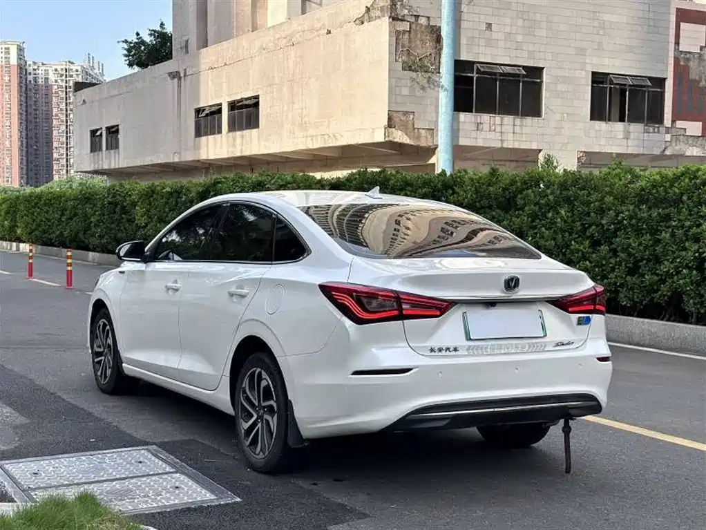 Changan Yidong New Energy 2019