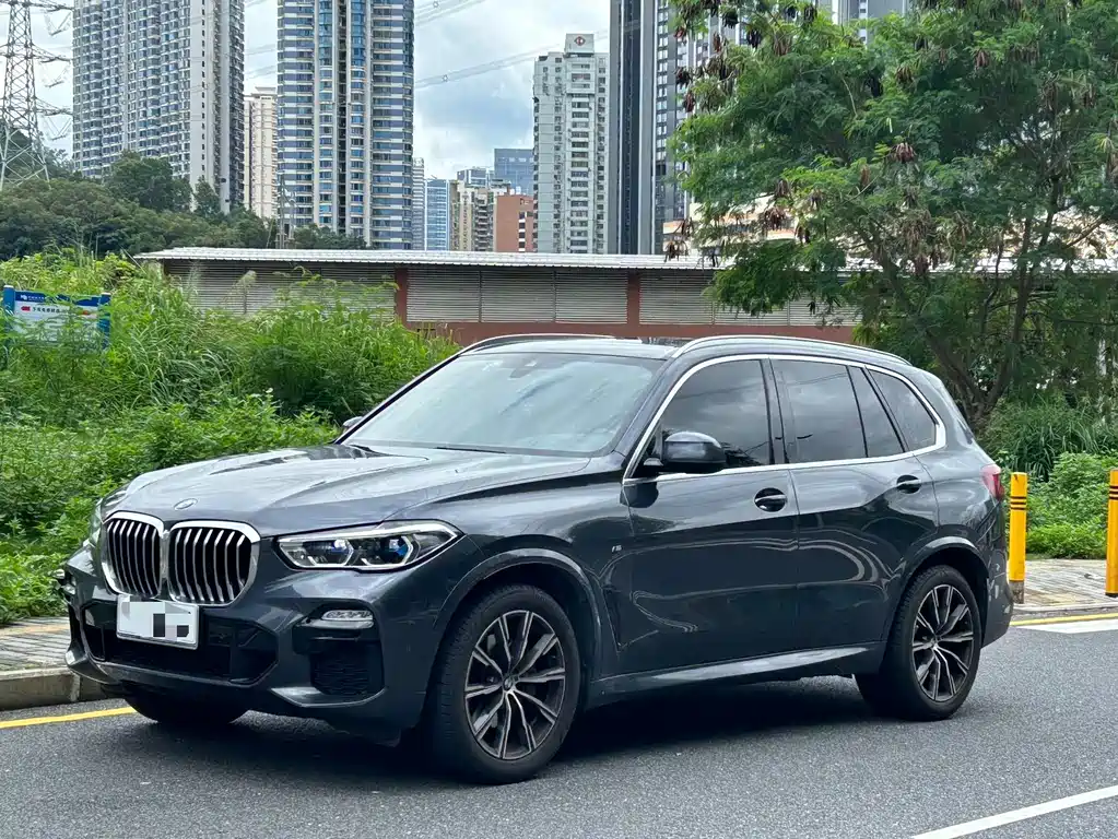 BMW X5 2021