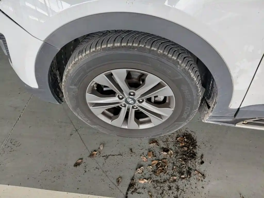 Hyundai Santa Fe 2015 — фото 23