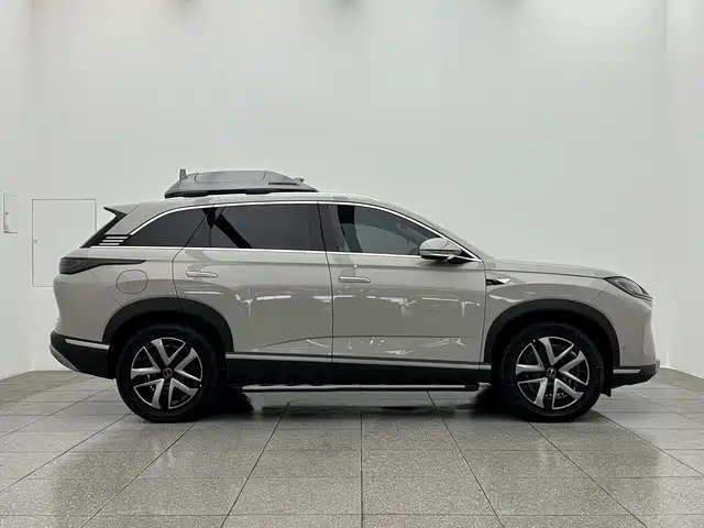 BYD Sealion 07 DM-i 2025 — фото 7