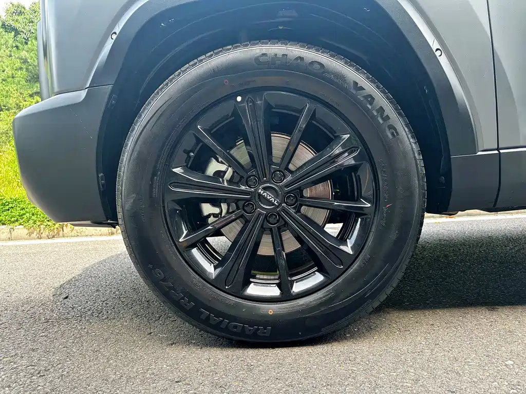 Haval Raptor 2025