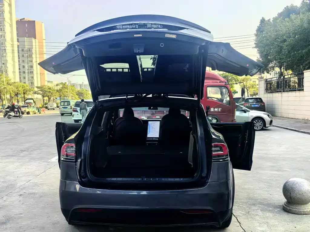 Tesla Model X 2020 — фото 8