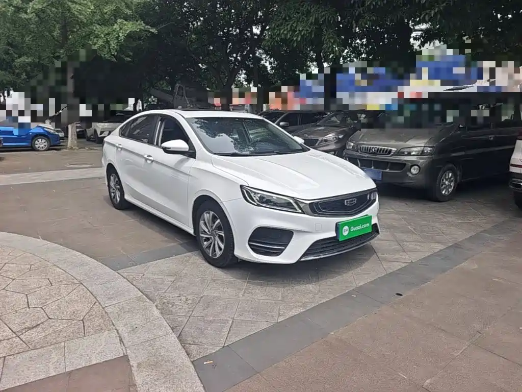 Geely Binrui 2019