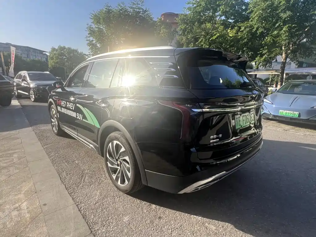 Hongqi HS7 PHEV 2024 — фото 10