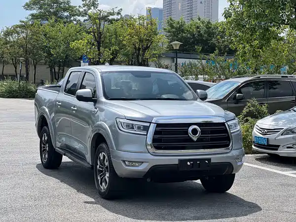 Great Wall Poer 2019