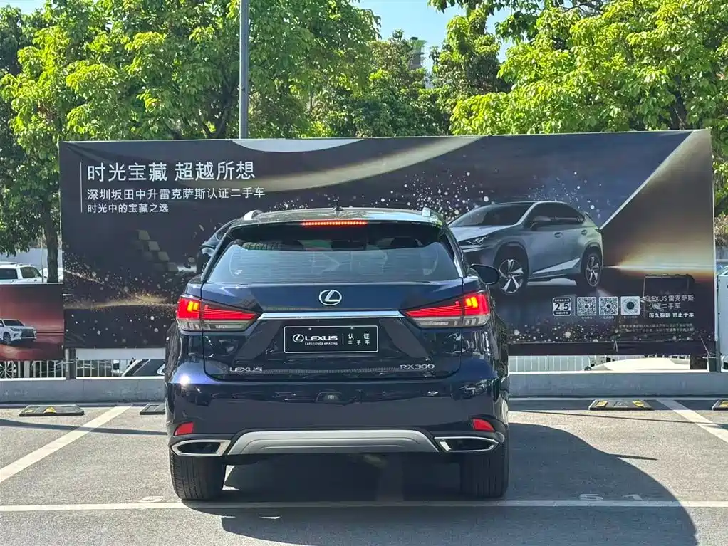 Lexus RX 2020 — фото 14