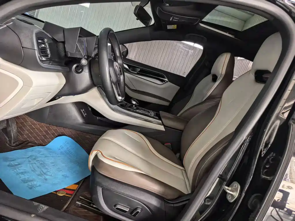 BYD Qin PLUS 2023 — фото 6