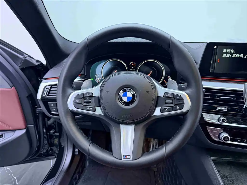 BMW 5 Series 2019 — фото 15