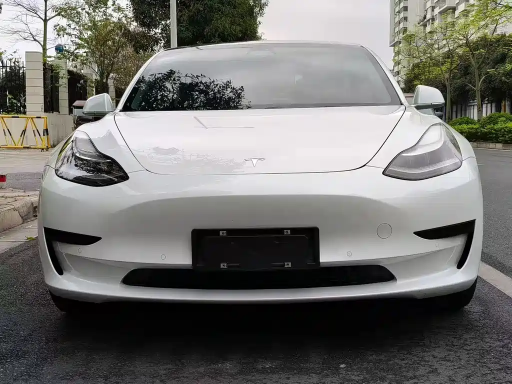 Tesla Model 3 2020 — фото 2
