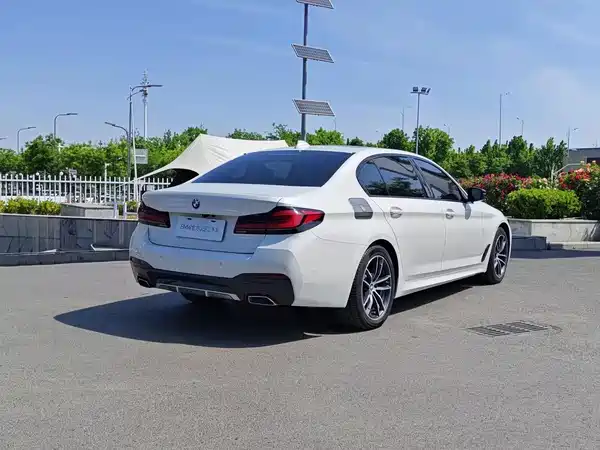 BMW 5 Series New Energy 2021