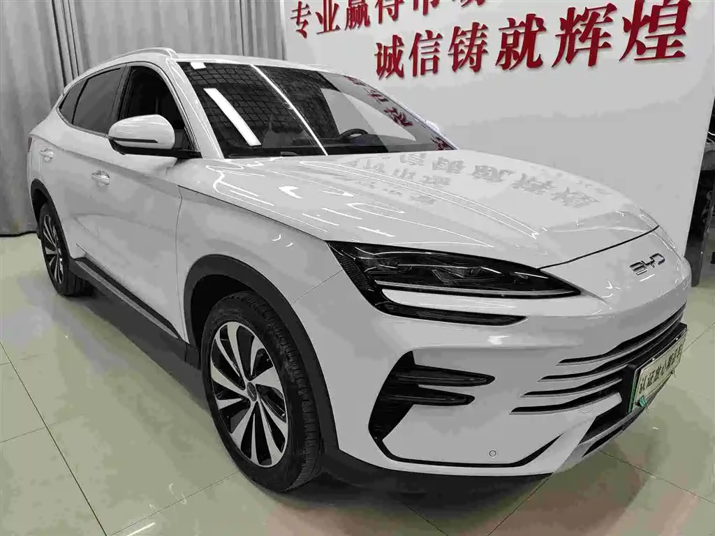 BYD PLUS New Energy 2024 — фото 3