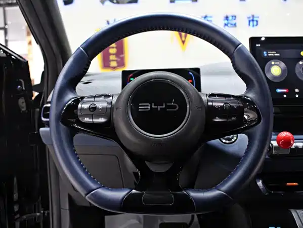 BYD Seagull 2024