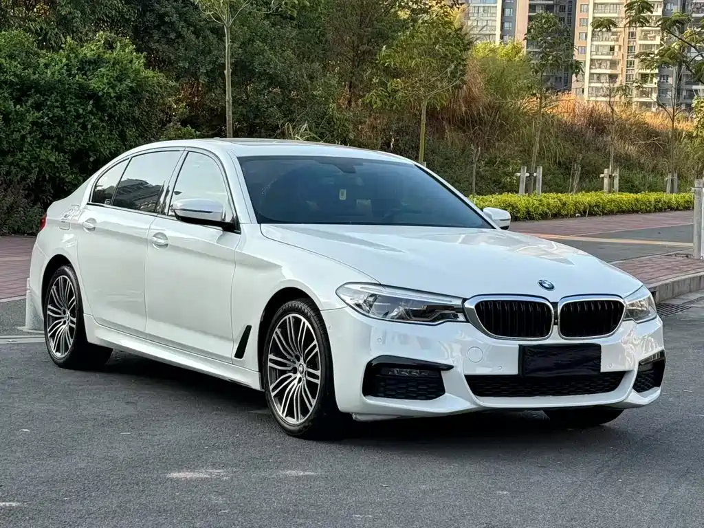 BMW 5 Series 2019 — фото 3