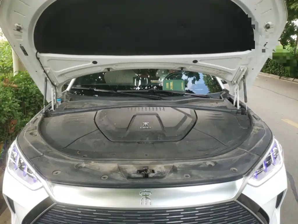 BYD Song PLUS New Energy 2023 — фото 21