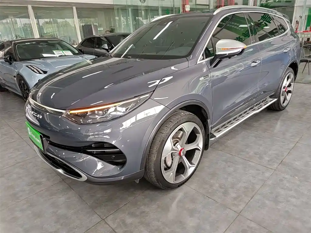 Denza X 2021