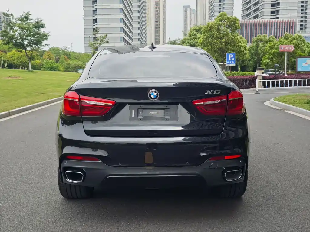BMW X6 2019 — фото 5