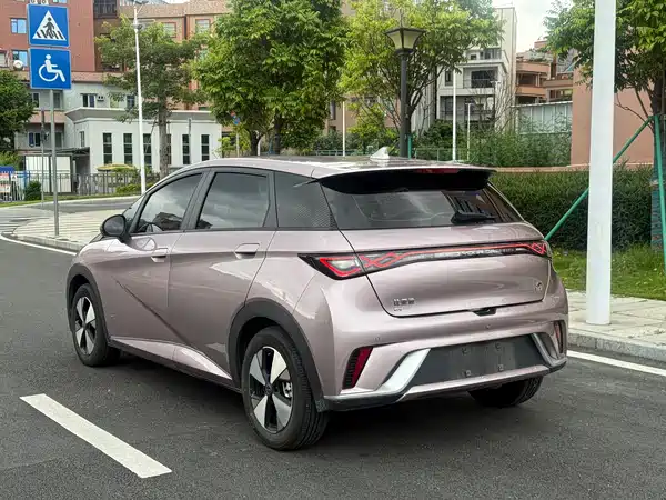 BYD Dolphin 2024