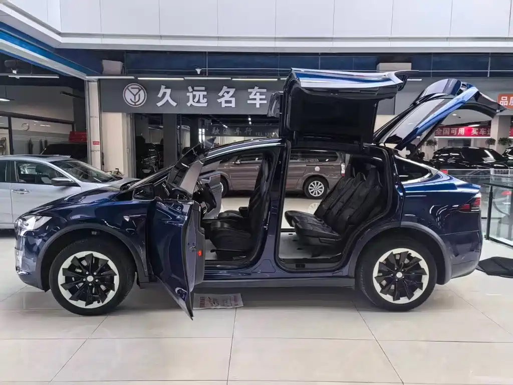 Tesla Model X 2017 — фото 25