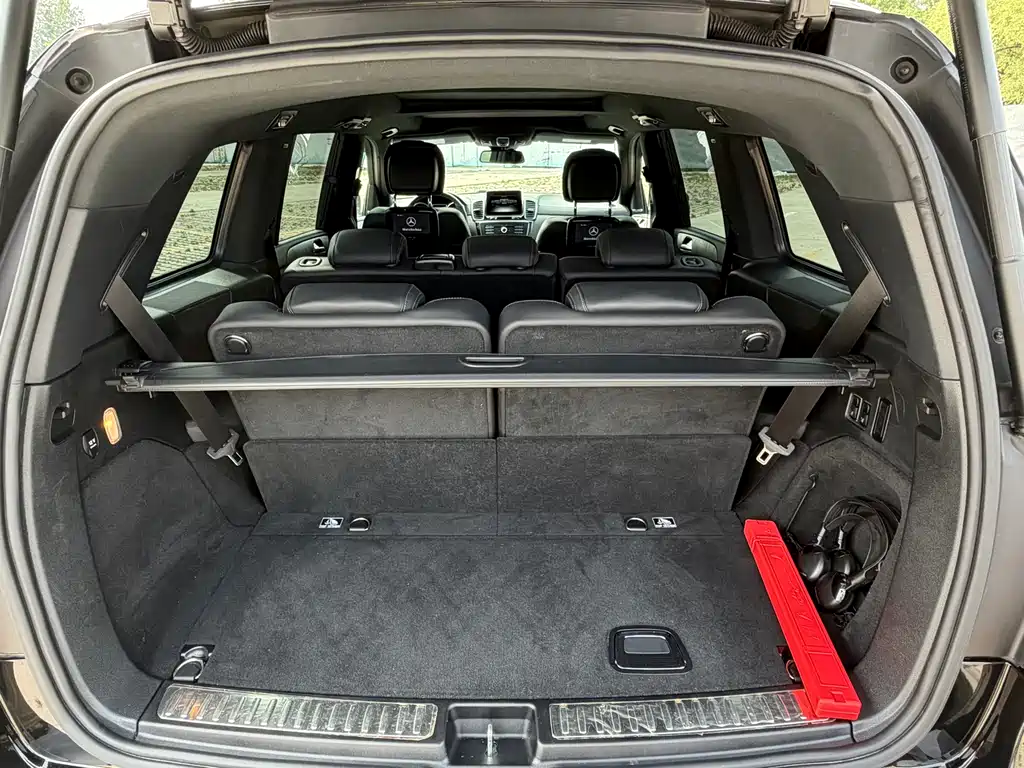 Mercedes-Benz GLS 2017 — фото 23