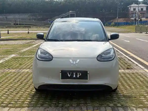 Wuling Bingo 2024